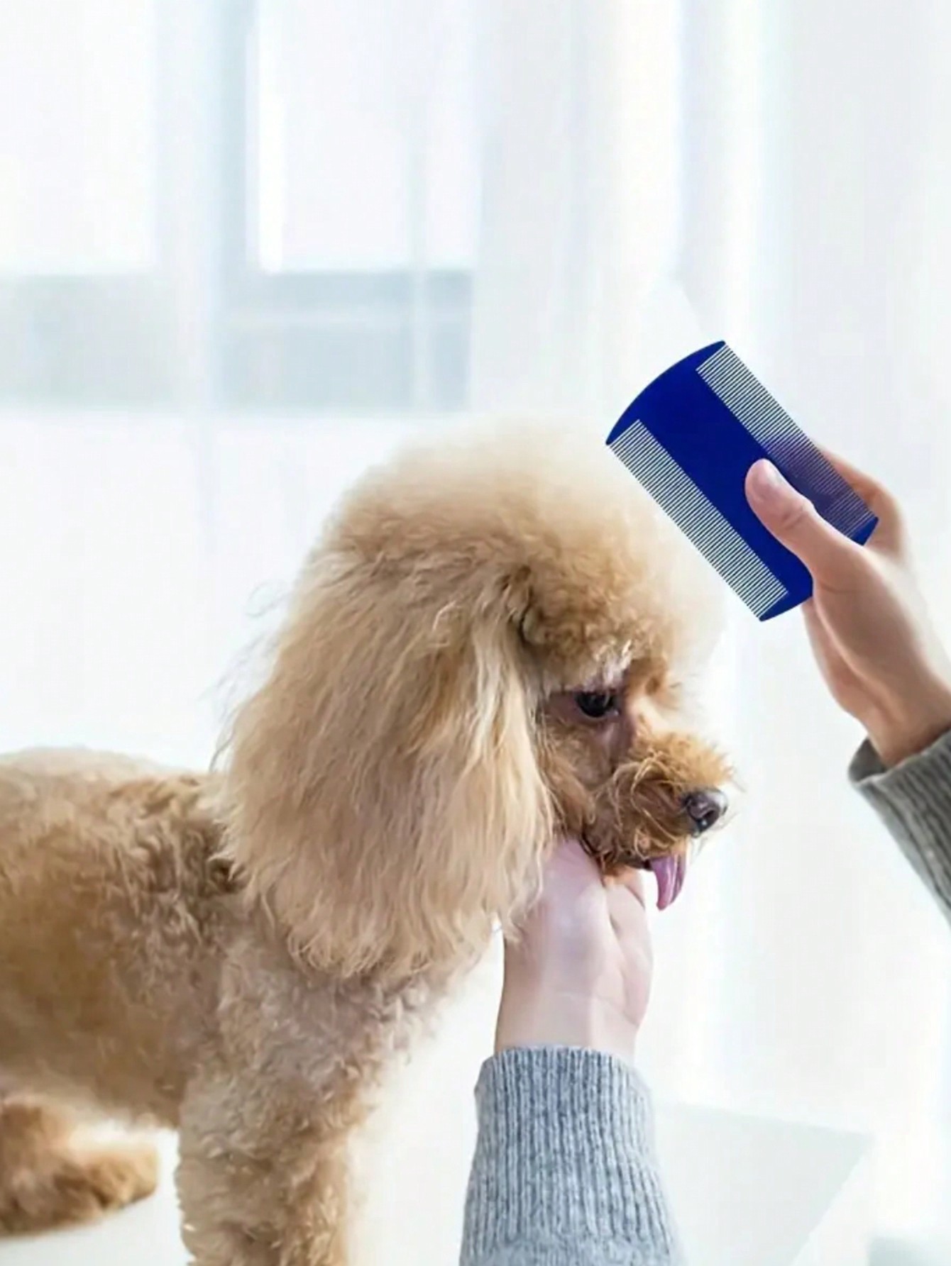 4pcs Double-Sided Pet Combs Fo - Comb Fine Tooth recensie en prijs